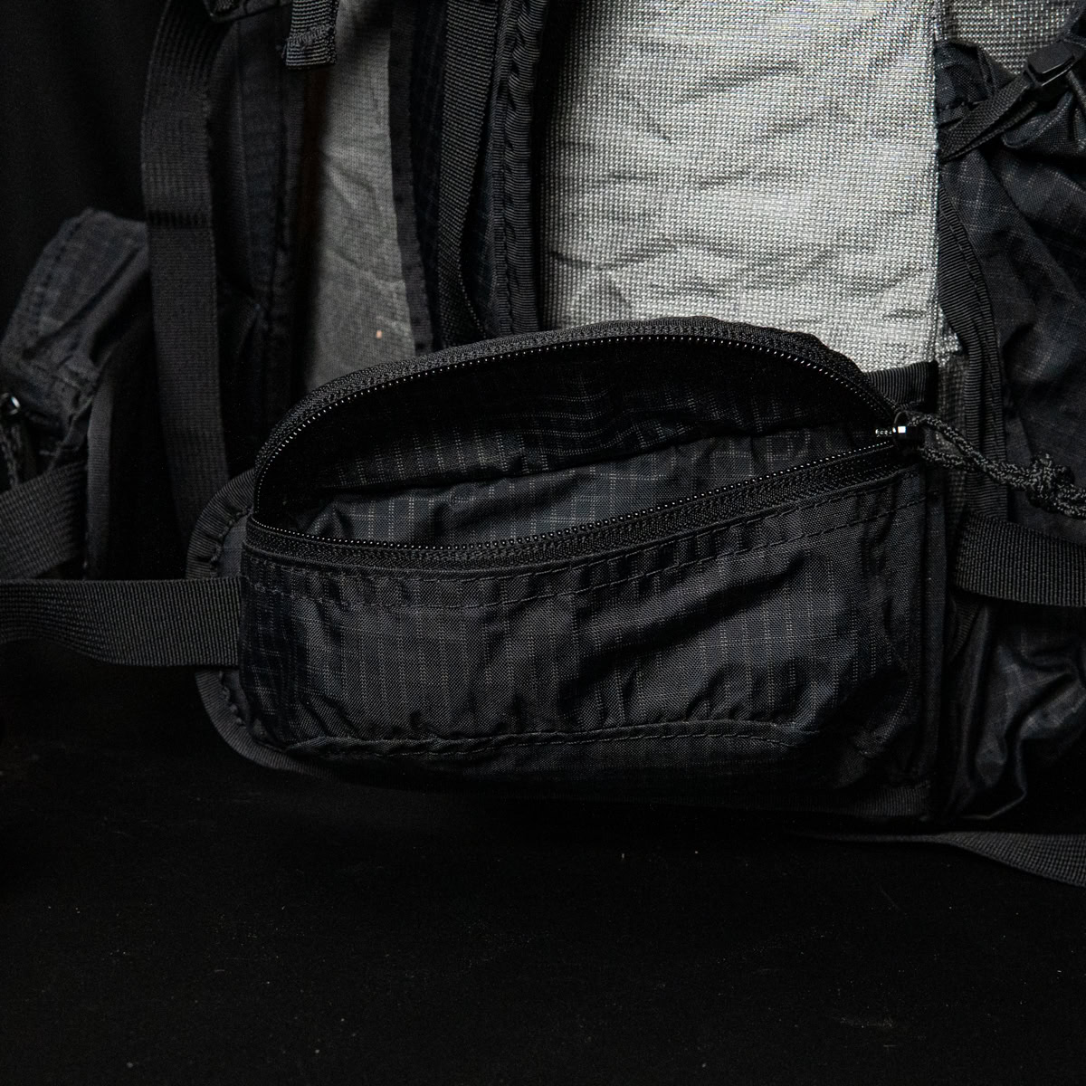 A Grizzly Bear walks through the forest. Photo by Zdeněk Macháček on UnSplash<br />
