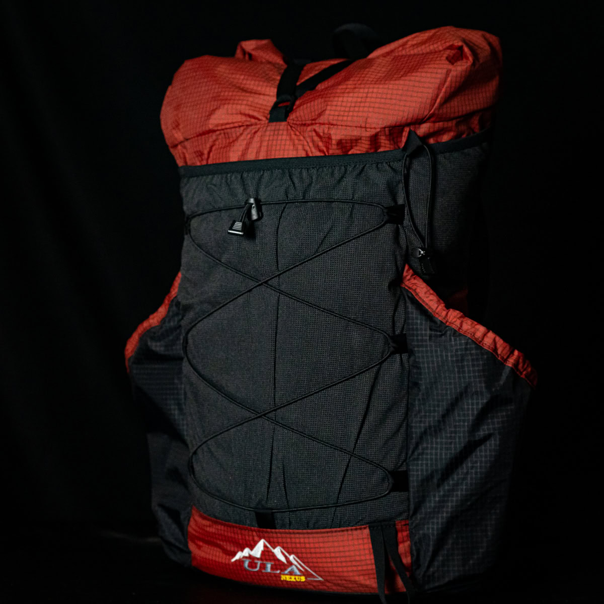 A Grizzly Bear walks through the forest. Photo by Zdeněk Macháček on UnSplash<br />
