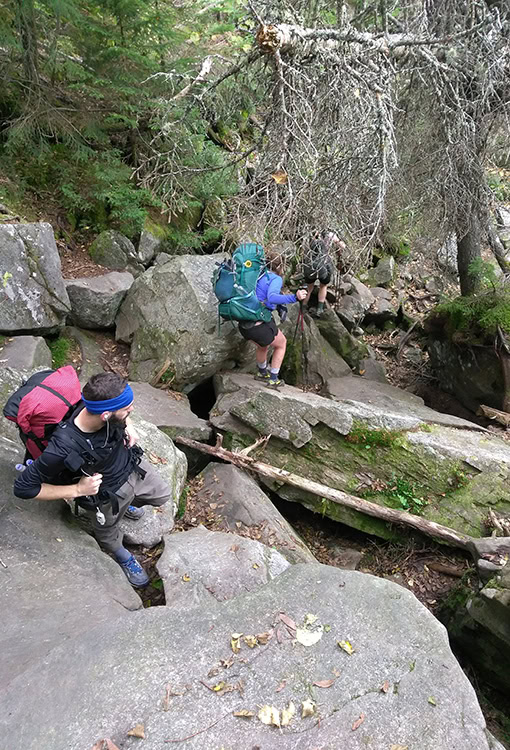 IMG_20180930_112148 A black bear sits in a meadow. Photo by Danika Perkinson on UnSplash.