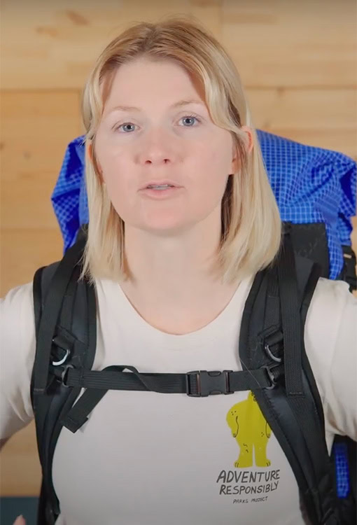 A Grizzly Bear walks through the forest. Photo by Zdeněk Macháček on UnSplash<br />
  