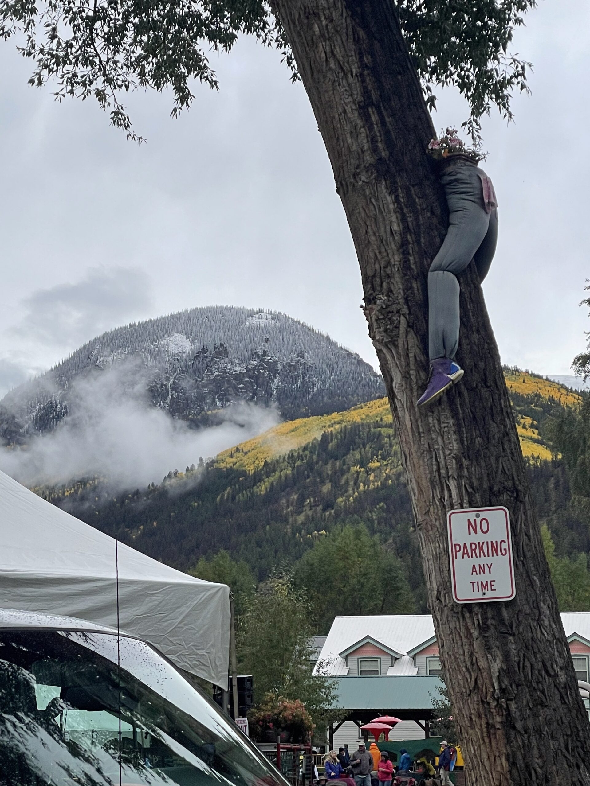 A pair of pants are attached to a tree
