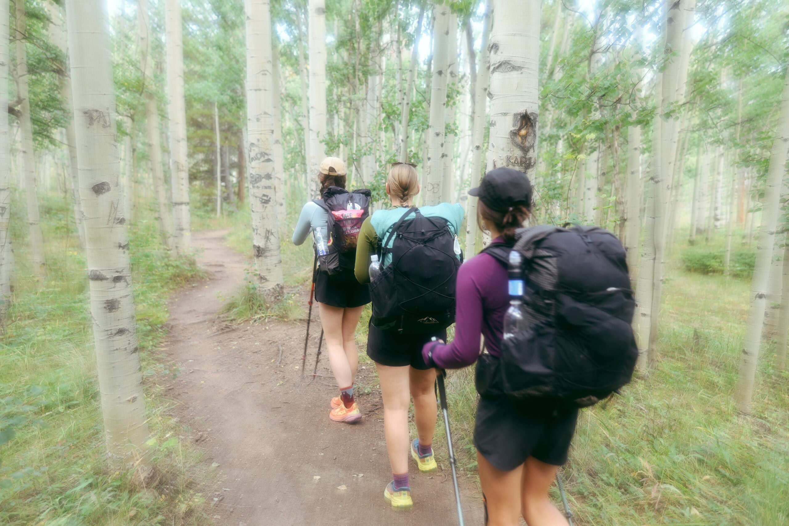 Three women hike along Aspen trees